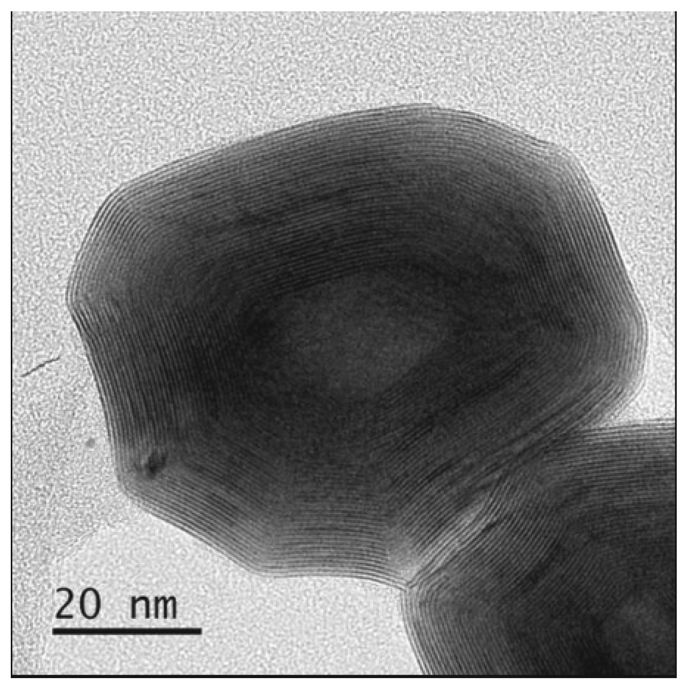 TEM Image of an IF-WS2 particle